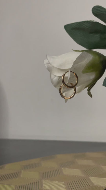 CLASSICS EARRINGS